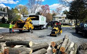 Best Landscape Design and Installation  in Warrenvle, IL